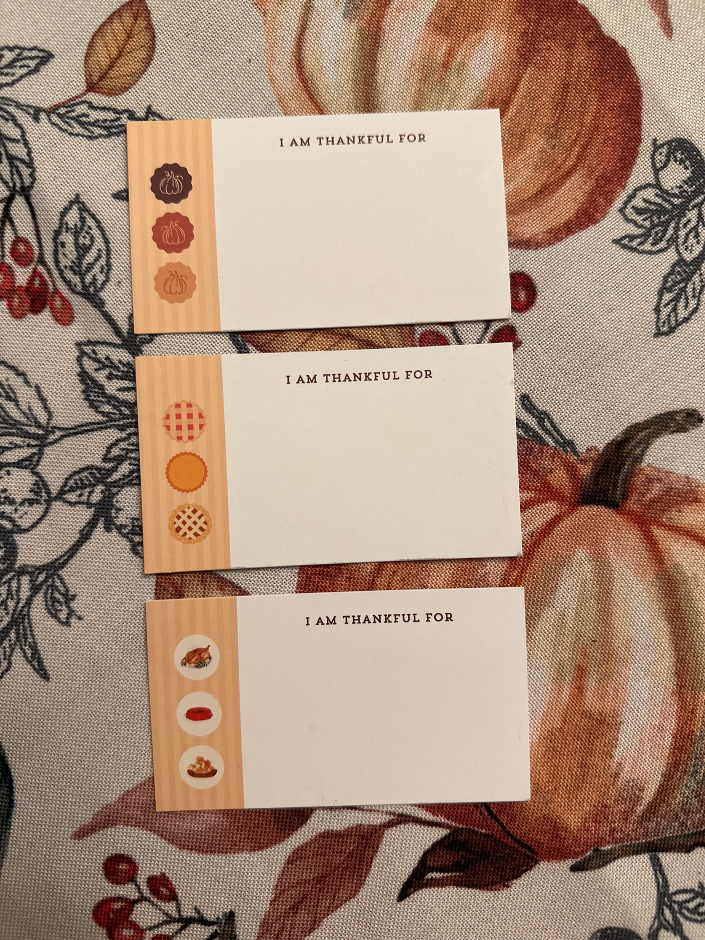 Pumpkin - Thankful Card Set of 10