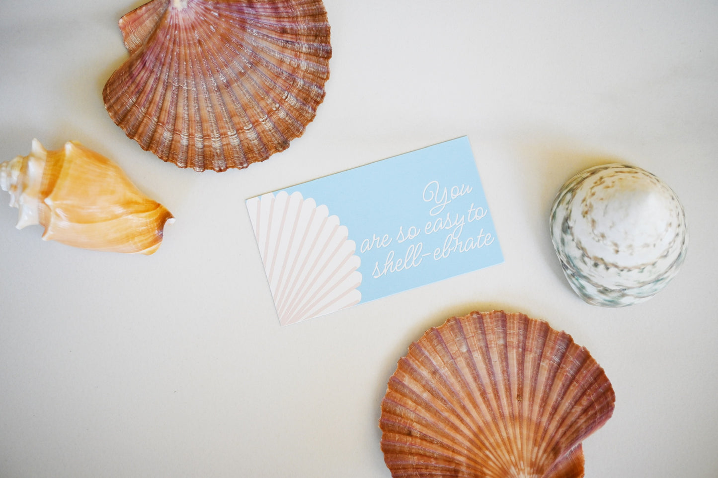 Coastal Gift Cards - set of 5