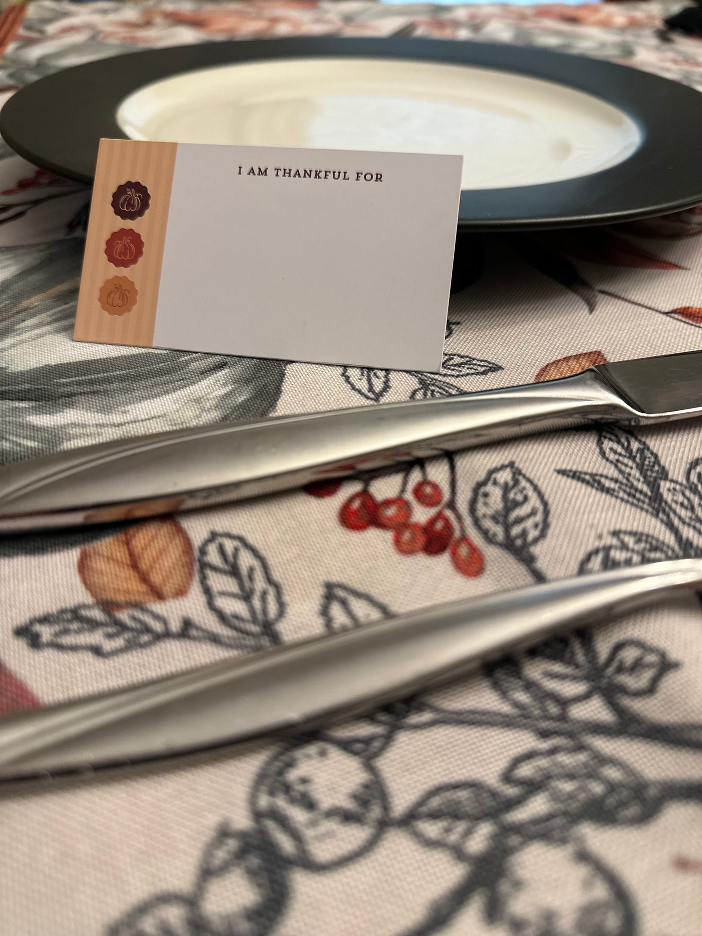 Pumpkin - Thankful Card Set of 10