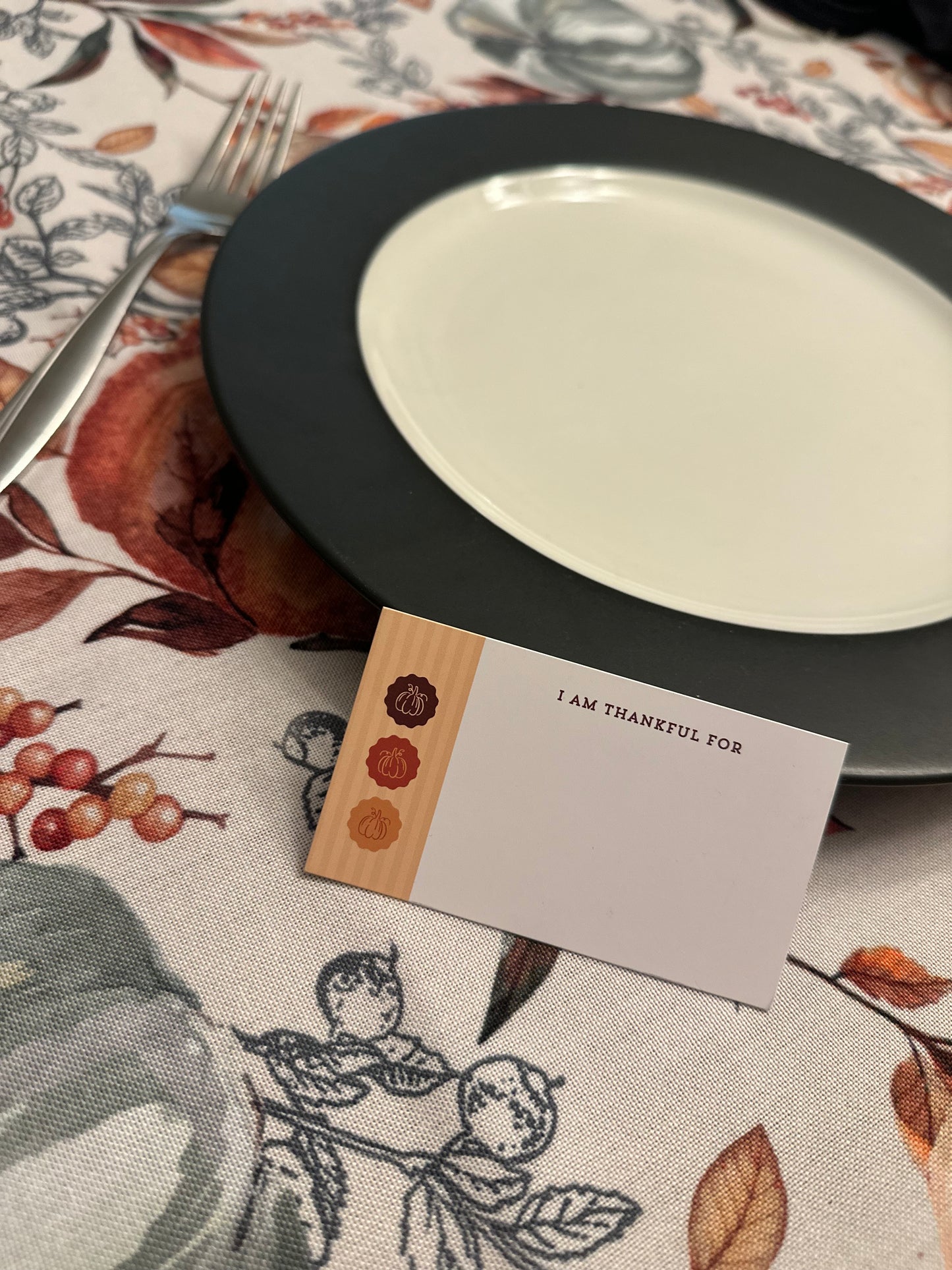 Pumpkin - Thankful Card Set of 10